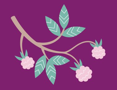 Yapraklı ahududu. Böğürtlenler düz.