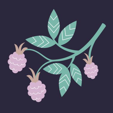 Yapraklı böğürtlen. Böğürtlenler düz.