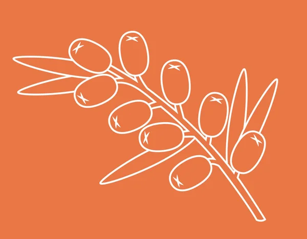 Twig Sea Buckthorn Berries Outline Style — 스톡 벡터