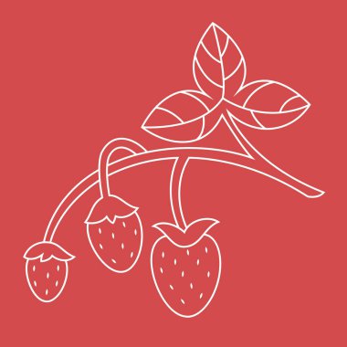 Strawberries with leaves. Berries in outline style.