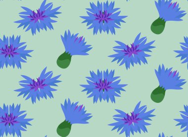 Seamless pattern with cornflower buds. Texture with wildflowers in cartoon style.