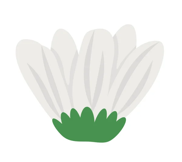 Bud Chamomile Wildflower Cartoon Style — 스톡 벡터