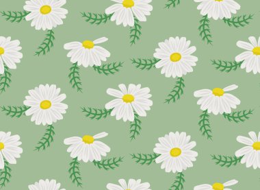 Seamless pattern with daisies and leaves. Texture with wildflowers in cartoon style.