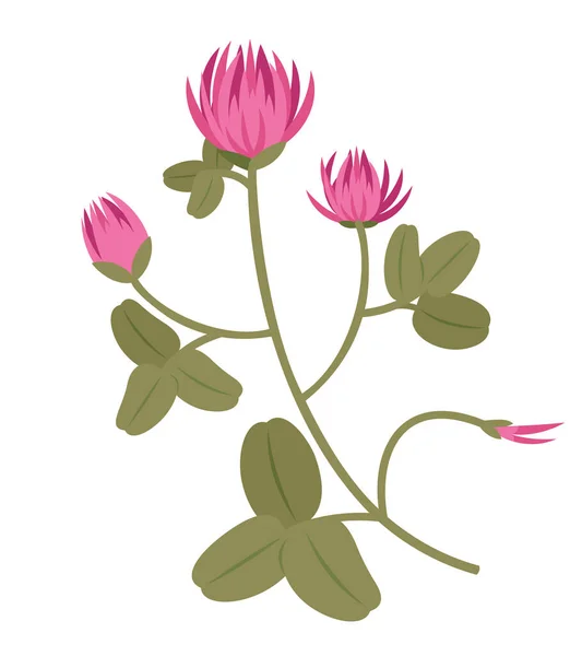 Bush Red Clover Wildflower Cartoon Style — Stockový vektor