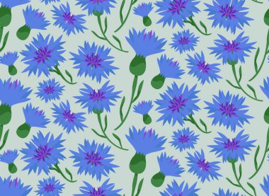 Seamless pattern with cornflowers. Texture with wildflowers in cartoon style.