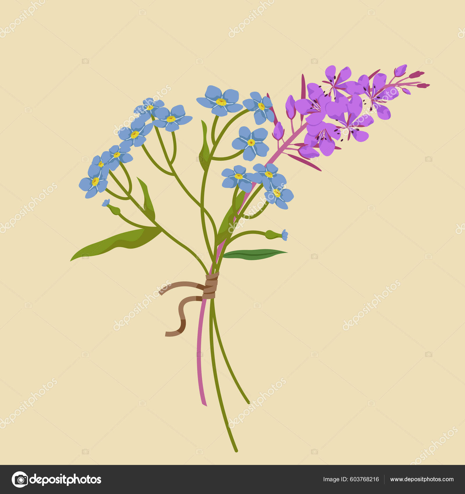 Myosotisストックベクター ロイヤリティフリーmyosotisイラスト ページ 2 Depositphotos