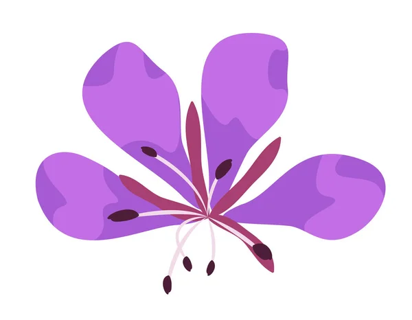 Fireweed Top View Wildflower Cartoon Style — Vettoriale Stock