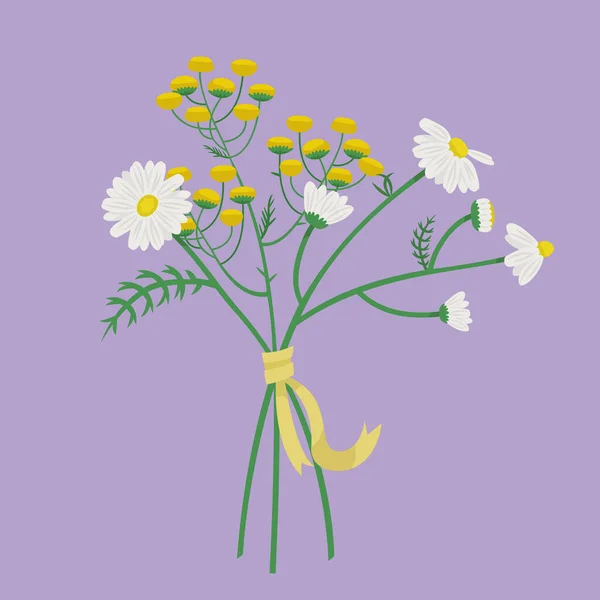 Bouquet Daisies Tansy Beautiful Flowers Cartoon Style —  Vetores de Stock