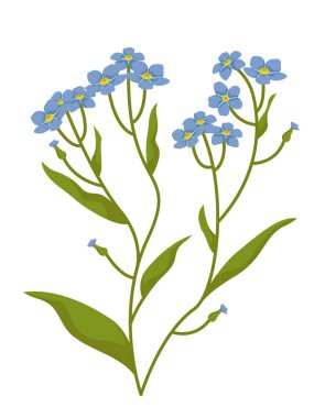 Bush of myosotis. Wildflower in cartoon style.
