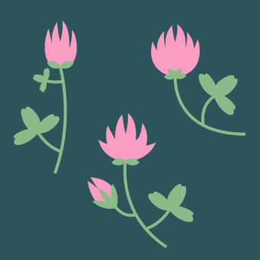 Bir çift kırmızı yonca. Düz biçimde güzel kır çiçekleri.