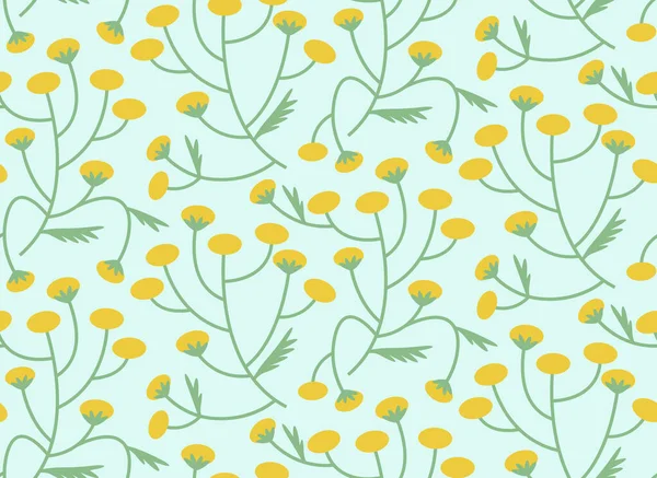 Seamless Pattern Tansy Texture Wildflowers Flat Style — Stock Vector