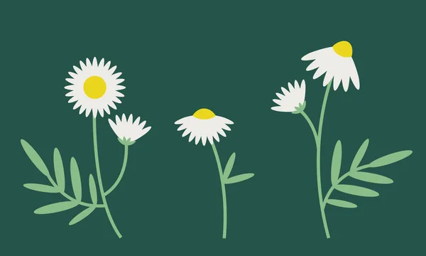 日々のセット 平型の野花 — ストックベクタ