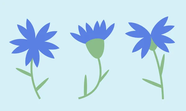 Σετ Από Λουλούδια Καλαμποκιού Αγριολούλουδα Επίπεδο Στυλ — Διανυσματικό Αρχείο