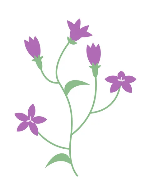 平らなスタイルのカンパネラ 美しい野の花 — ストックベクタ