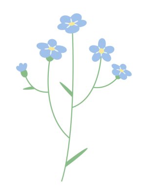 Myosotis çalılığı. Düz bir şekilde kır çiçeği..