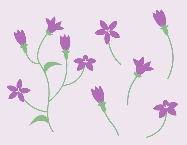 Набір Елементів Дизайну Кампанули Дикі Квіти Плоскому Стилі — стоковий вектор