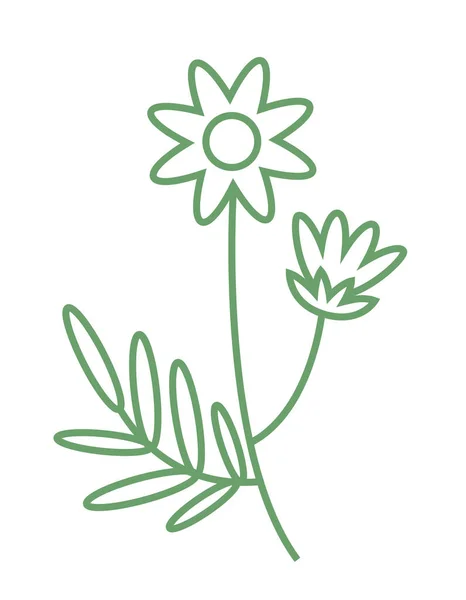 Kamillenzweig Umrissen Schöne Wildblume — Stockvektor