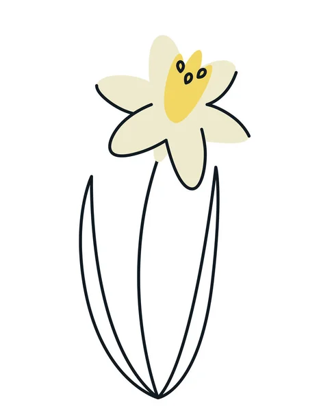 Daffodil Στυλ Doodle Όμορφο Λουλούδι Στον Κήπο — Διανυσματικό Αρχείο