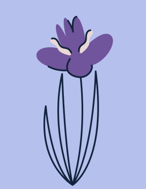 Karalama tarzında bir Iris. Güzel bahçe çiçeği.