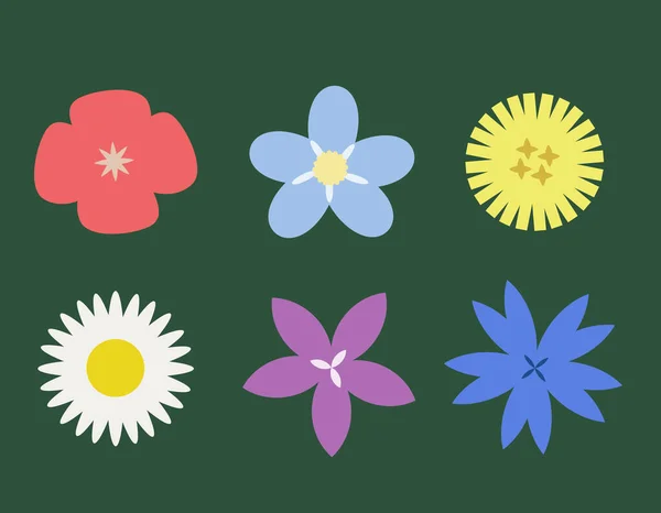 Set Different Wildflowers Top View Beautiful Flowers Flat Style — Stock Vector