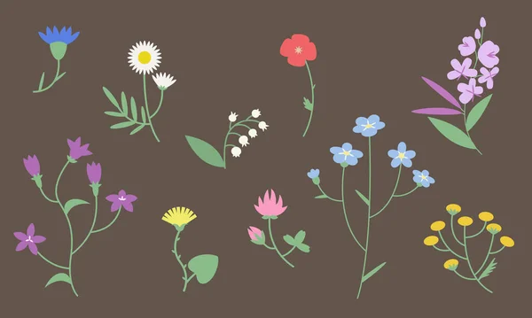 Set Von Verschiedenen Wildblumen Schöne Blumen Flachen Stil — Stockvektor