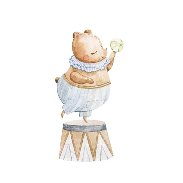Милая Детская Акварельная Иллюстрация Забавными Персонажами Детеныши Животных Цирке Детский — стоковое фото