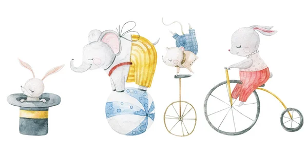 面白いキャラクターやサーカスの赤ちゃん動物とかわいい子供っぽい水彩イラスト 子供のデザイン アート 手描きイラスト 動物は自転車に飛び乗る — ストック写真