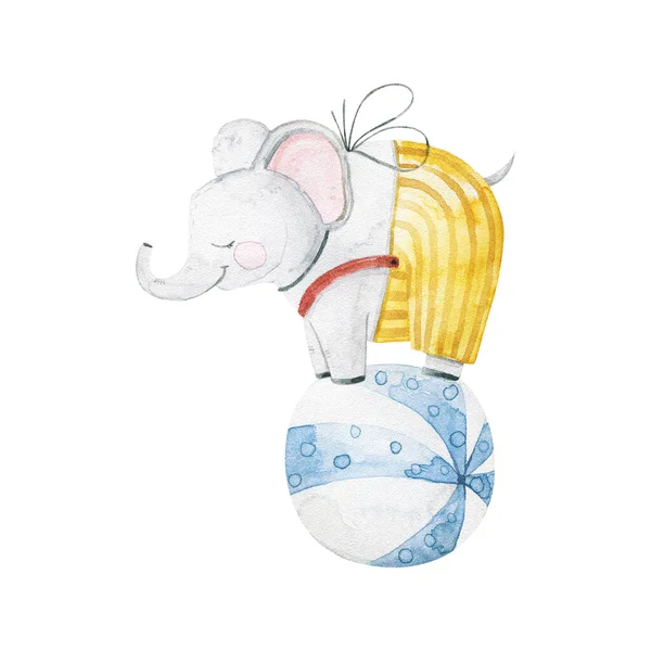 cute an funny circus animal, childish watercolor illustration on white bachground