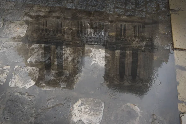 Paris 'teki Notre Dame Katedrali' nin yansıması Fransa 'daki yağmur birikintisi