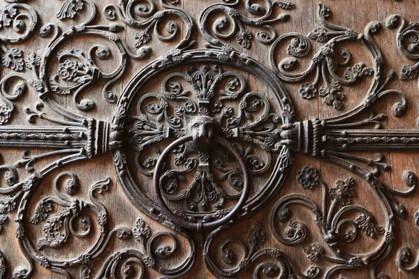 Door Knocker Dettaglio Metallo Nella Cattedrale Notre Dame Parigi Francia — Foto Stock