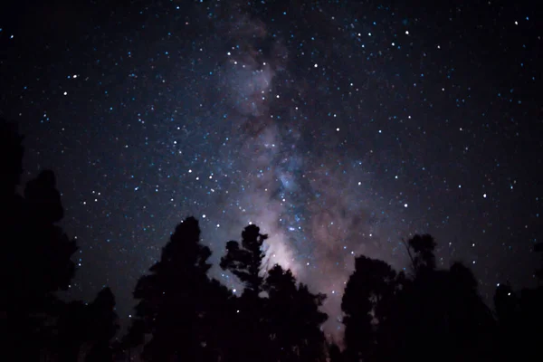 Kızıl Nehir 'de Samanyolu Yıldızlı Gökyüzü New Mexico Karanlık Gecesi