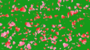 Düşen kırmızı kalpler yeşil ekran hareket grafikleri