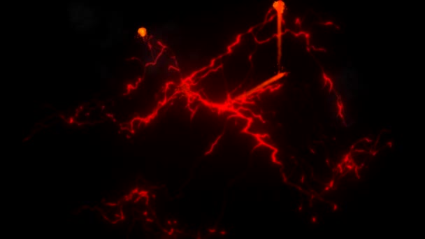 具有夜间背景的Lava提取运动图形 — 图库视频影像
