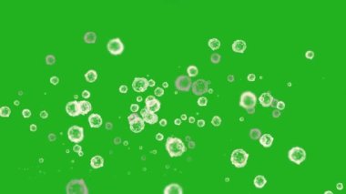 Virüs parçacıkları yeşil ekran hareketi grafikleri