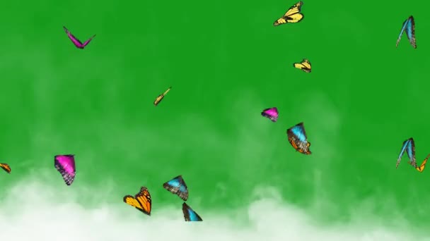 Летающие Бабочки Дымом Зеленом Фоне Экрана — стоковое видео