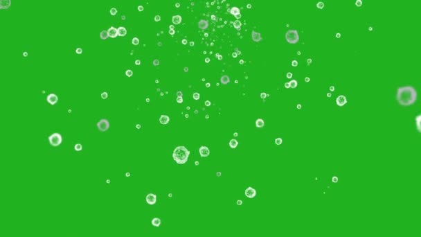 Particules Poussière Volantes Graphiques Mouvement Écran Vert — Video