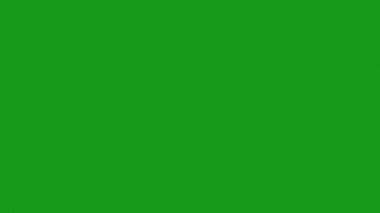 Havai fişekler yeşil ekran hareketi grafikleri