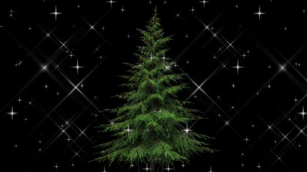 Christmas Tree Shining Stars Motion Graphics Night Background — Stock Video