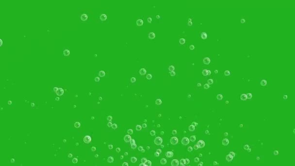 Steigende Blasen Green Screen Bewegungsgrafik — Stockvideo