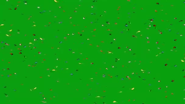 Flying Colorful Butterflies Motion Graphics Green Screen Background — Stock Video