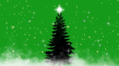Christmas decoration and shining star green screen motion graphics