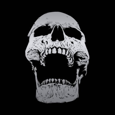 Skull vector With Silver Color