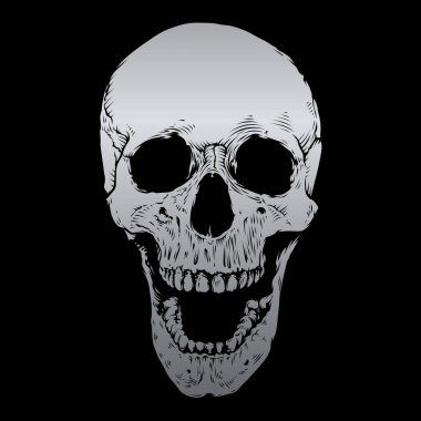 Skull vector With Silver Color