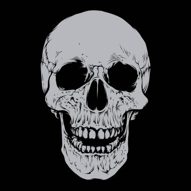 Skull vector With Silver Color