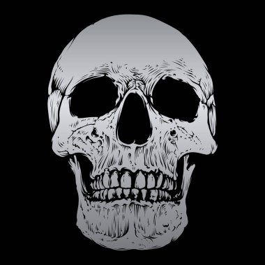 Skull vector With Silver Color