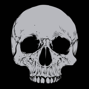 Skull vector With Silver Color