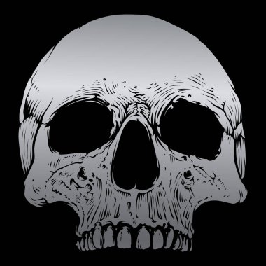 Skull vector With Silver Color