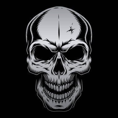 Skull vector With Silver Color
