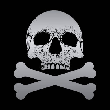 Skull vector With Silver Color