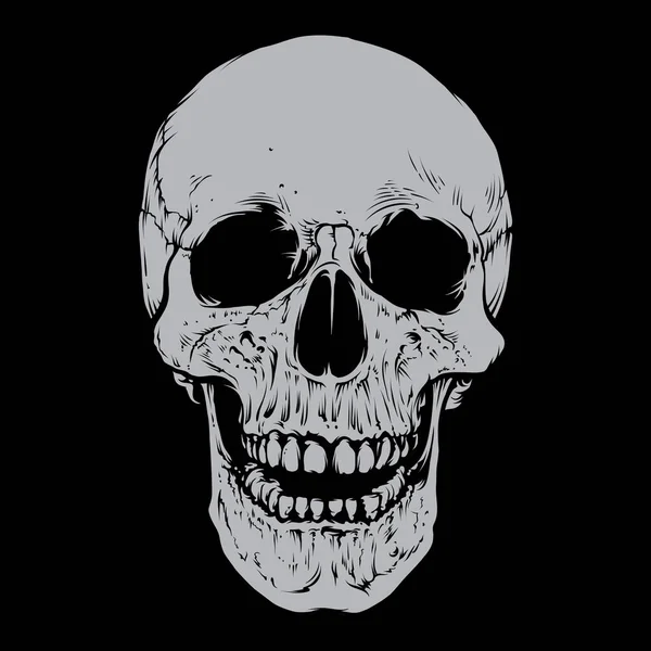 Skull Vector Silver Color — Archivo Imágenes Vectoriales